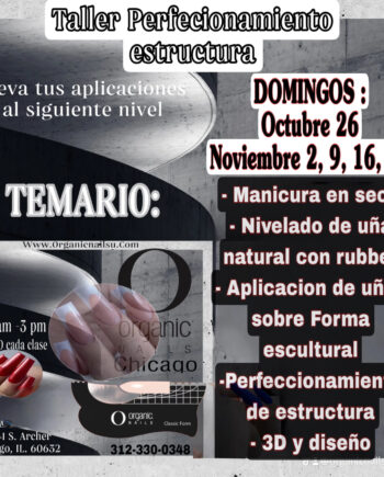 Curso de Perfeccionamiento de estructura Inicamos Octubre 26