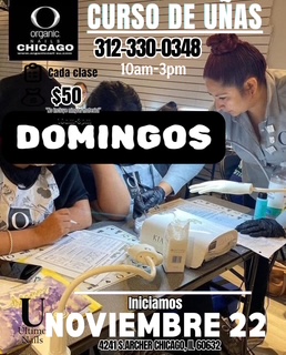 Curso de Uñas DOMINGOS Iniciamos Nov 22